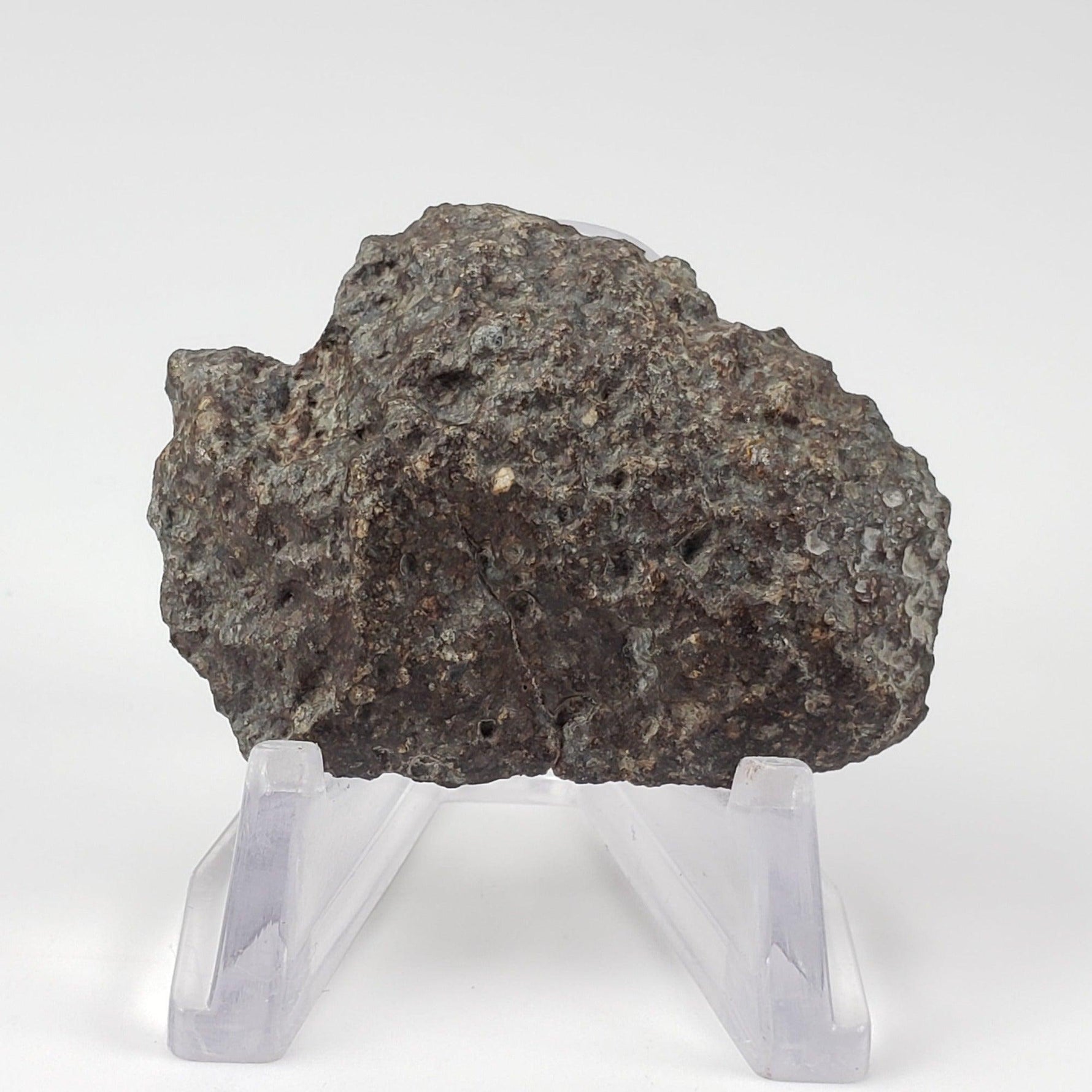  NWA 869 Meteorite | 14.82 Gr | End Cut | L3-6 Chondrite | Northwest Africa 