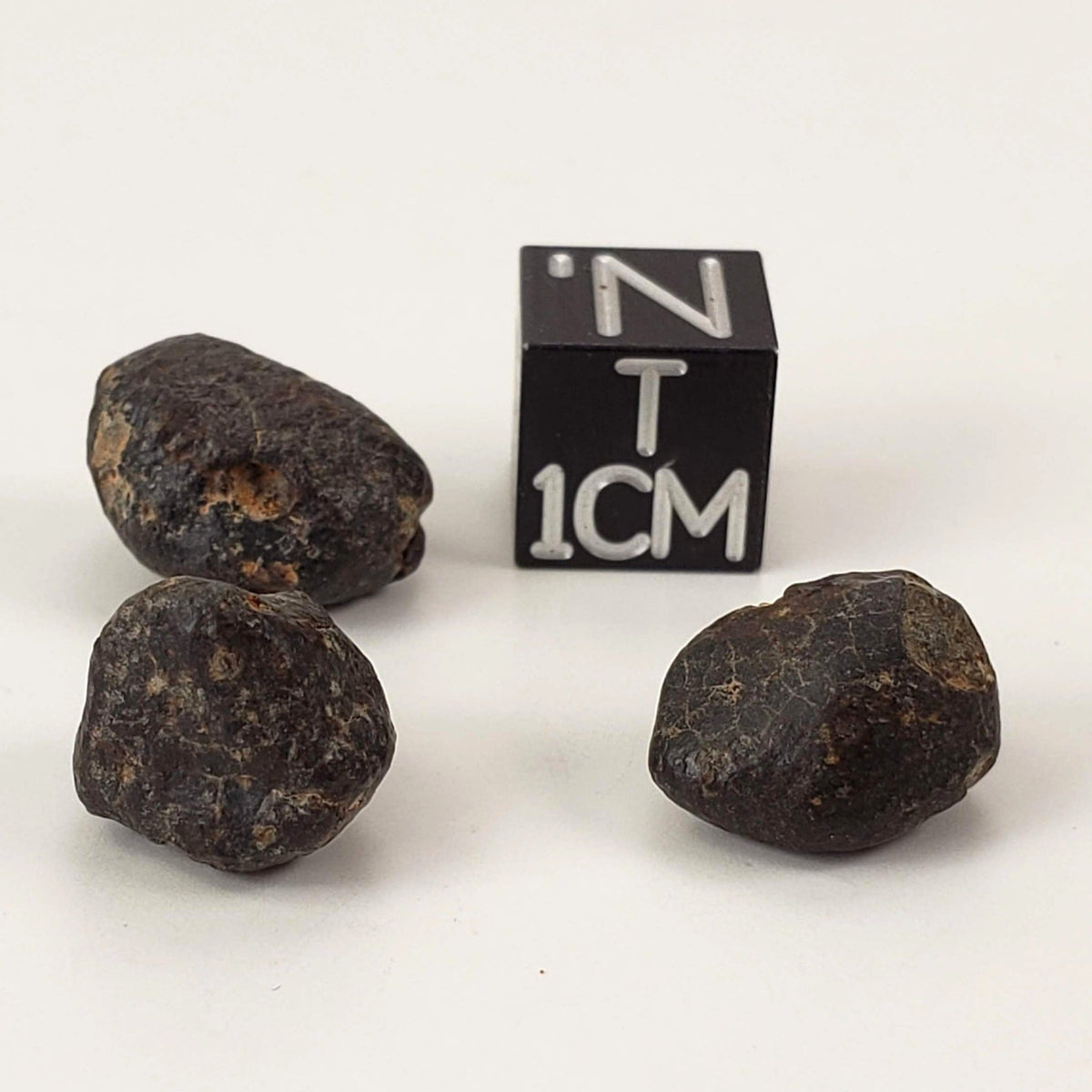  NWA 869 Meteorite | 3 Piece Lot | 5.42 Gr | Individual | L3-6 Chondrite | Crusted Specimen | SO24 