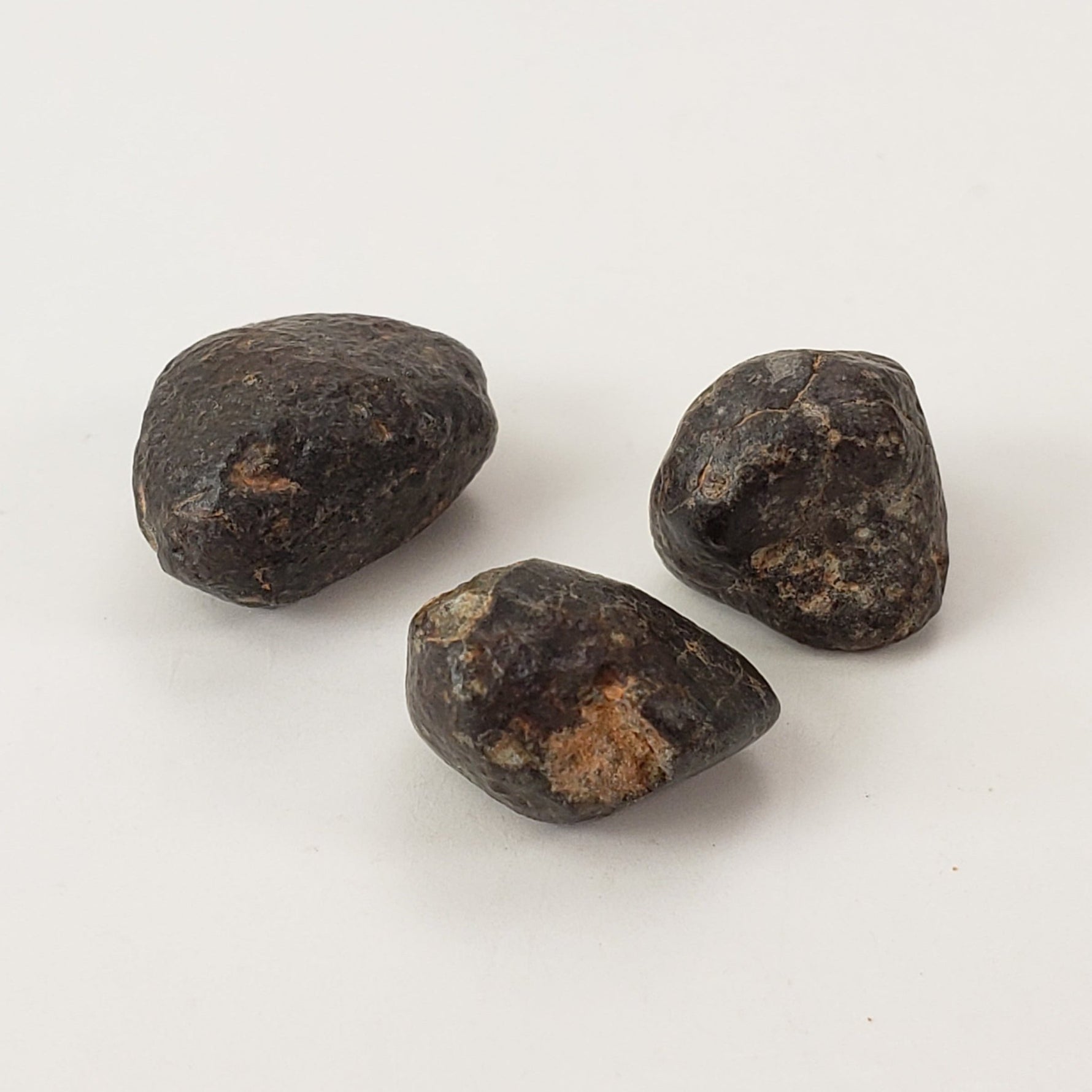  NWA 869 Meteorite | 3 Piece Lot | 5.42 Gr | Individual | L3-6 Chondrite | Crusted Specimen | SO24 