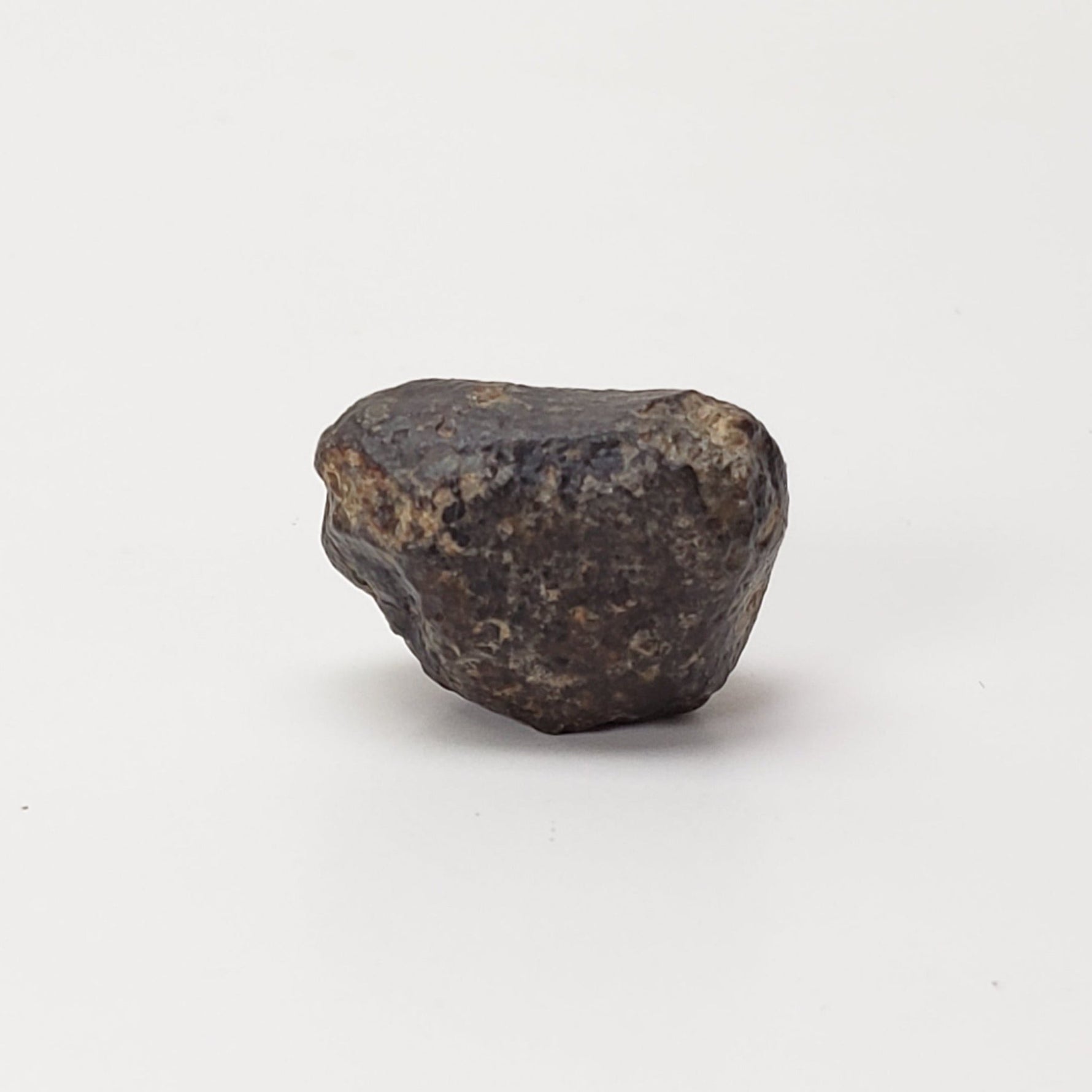  NWA 869 Meteorite | 4.78 Gr | Individual | L3-6 Chondrite | Crusted Specimen | SO24 