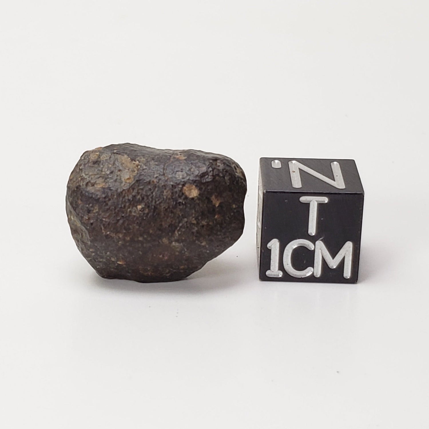  NWA 869 Meteorite | 4.78 Gr | Individual | L3-6 Chondrite | Crusted Specimen | SO24 