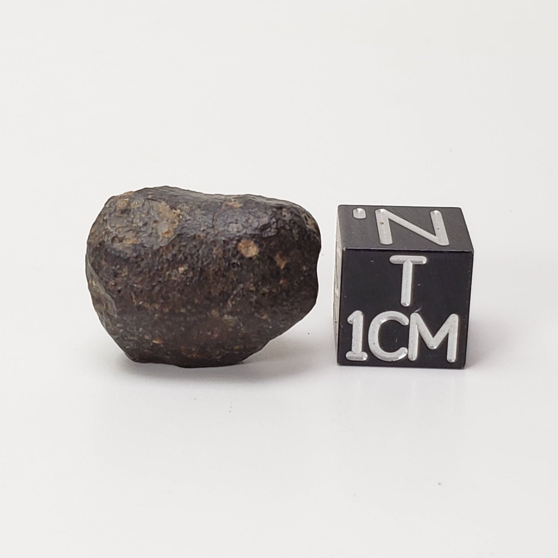  NWA 869 Meteorite | 4.78 Gr | Individual | L3-6 Chondrite | Crusted Specimen | SO24 