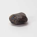  NWA 869 Meteorite | 4.78 Gr | Individual | L3-6 Chondrite | Crusted Specimen | SO24 