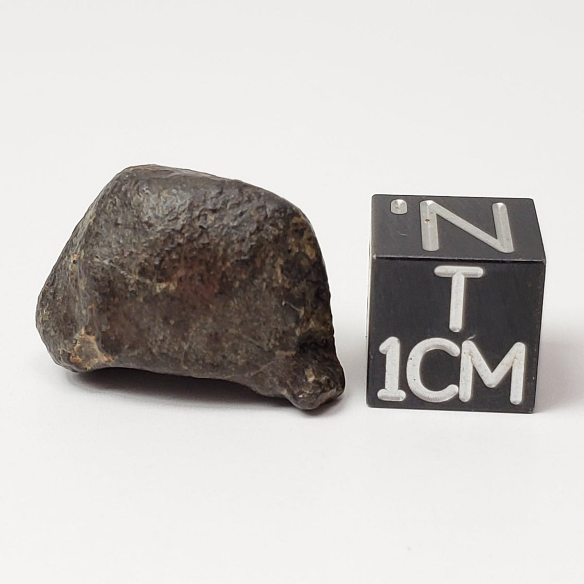  NWA 869 Meteorite 4.85 Grams L3-6 Chondrite Crusted Specimen 