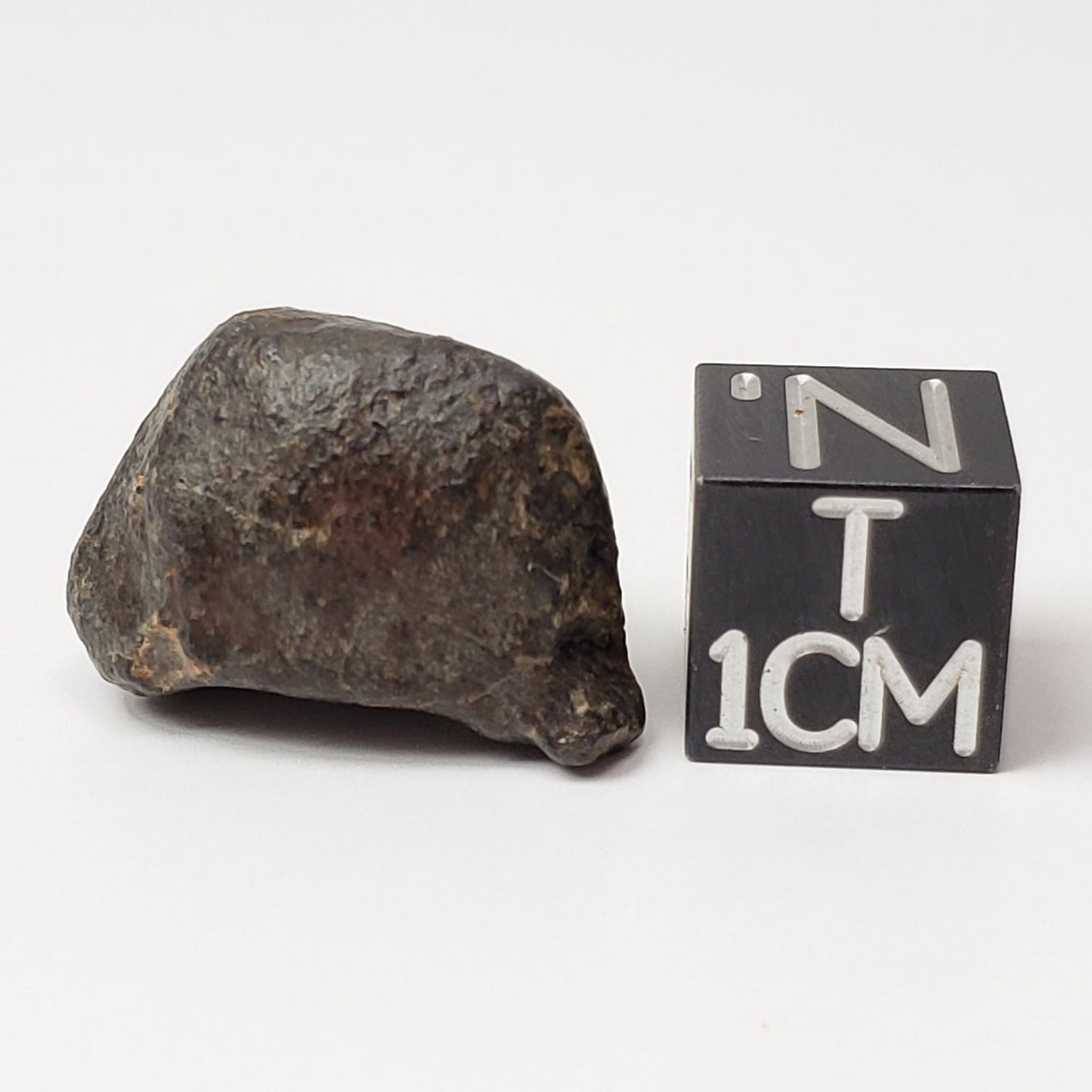 NWA 869 Meteorite | 4.85 Grams | Individual | L3-6 Chondrite | Crusted Specimen