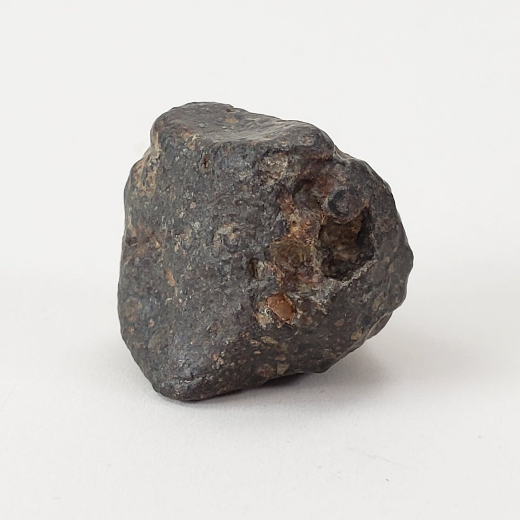  NWA 869 Meteorite | 5.29 Gr | Individual | L3-6 Chondrite | Crusted Specimen 