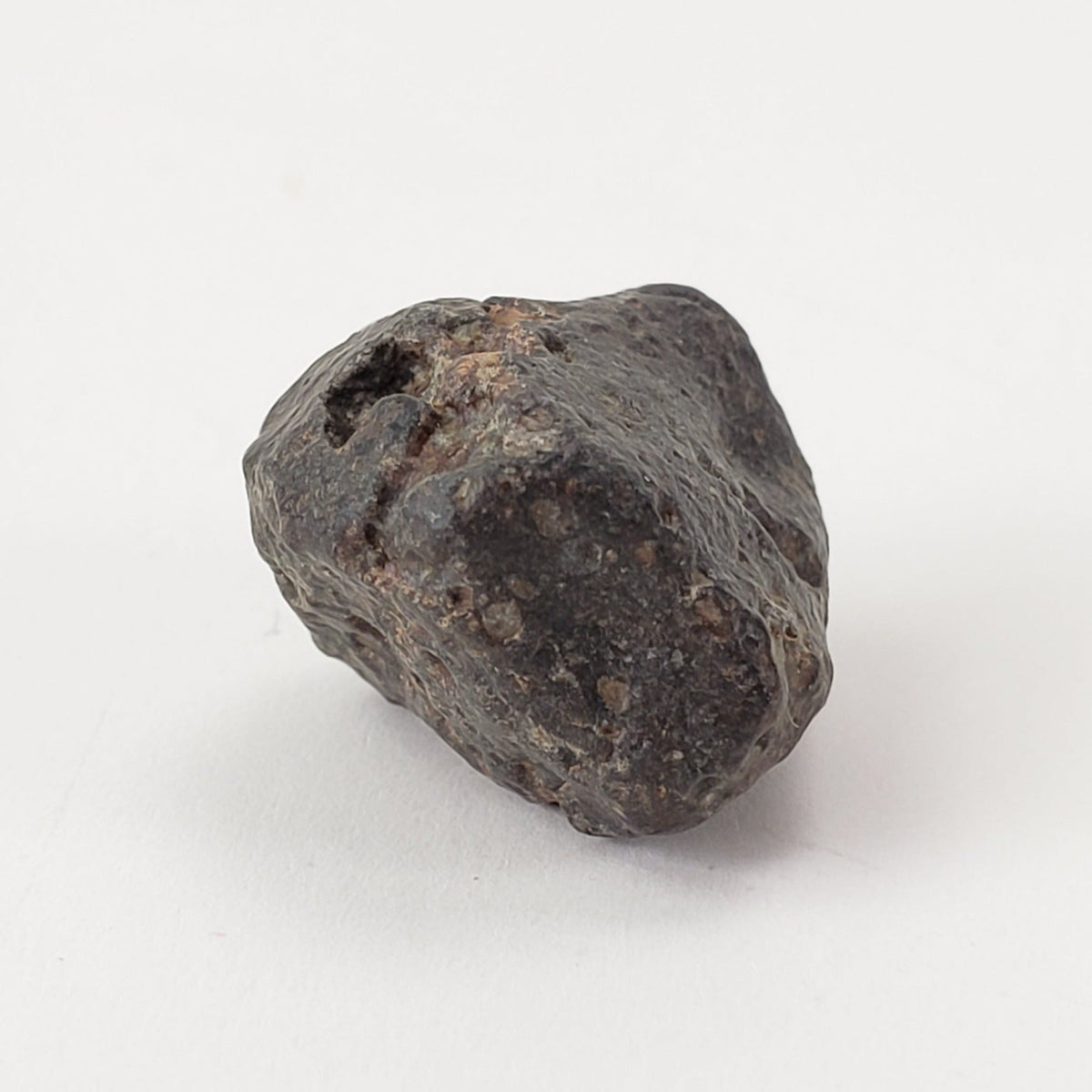  NWA 869 Meteorite | 5.29 Gr | Individual | L3-6 Chondrite | Crusted Specimen 