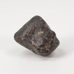  NWA 869 Meteorite | 5.9 Grams | Individual | L3-6 Chondrite | Crusted Specimen | SO24 