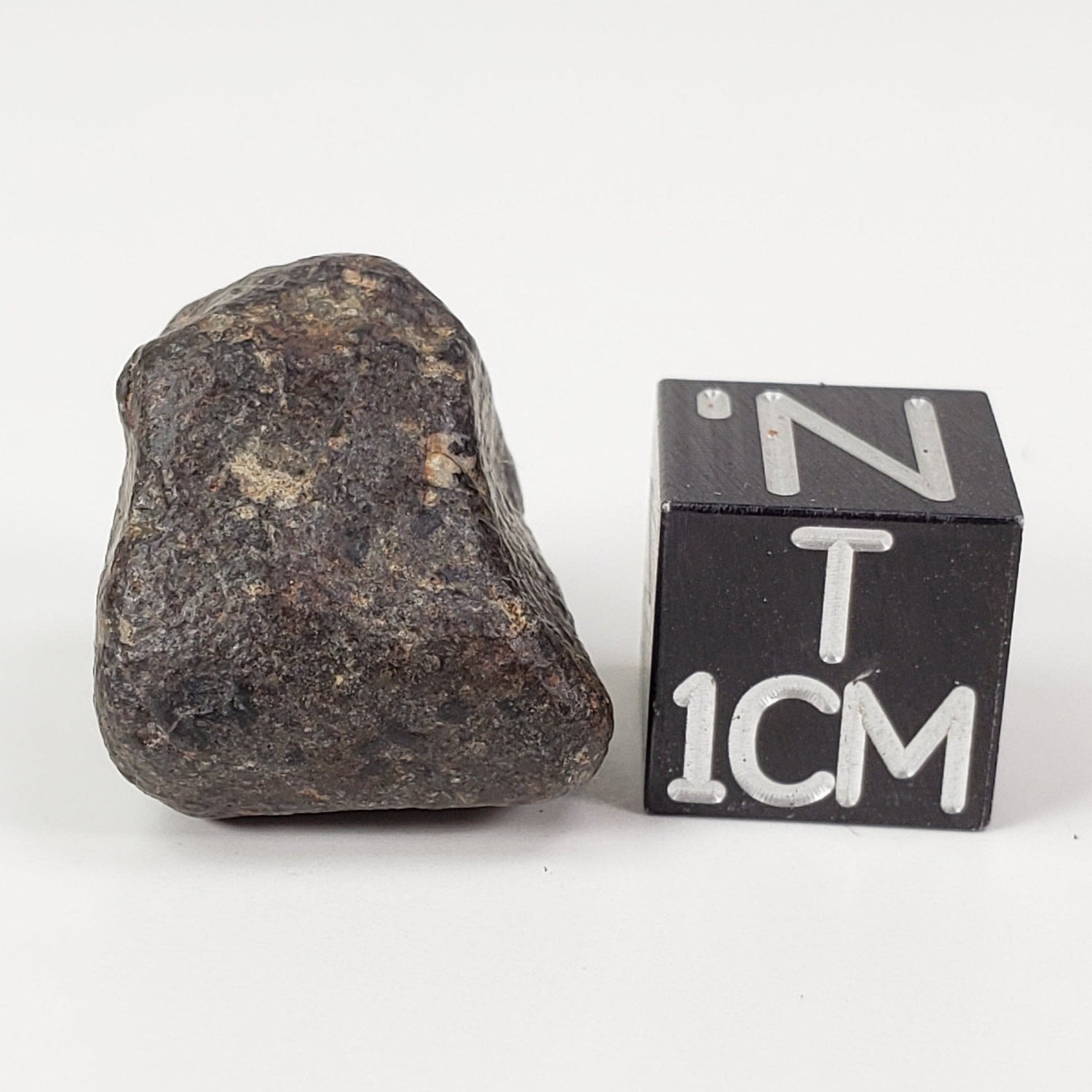  NWA 869 Meteorite | 5.9 Grams | Individual | L3-6 Chondrite | Crusted Specimen | SO24 