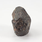  NWA 869 Meteorite | 9 Grams | Individual | L3-6 Chondrite | Crusted Specimen 