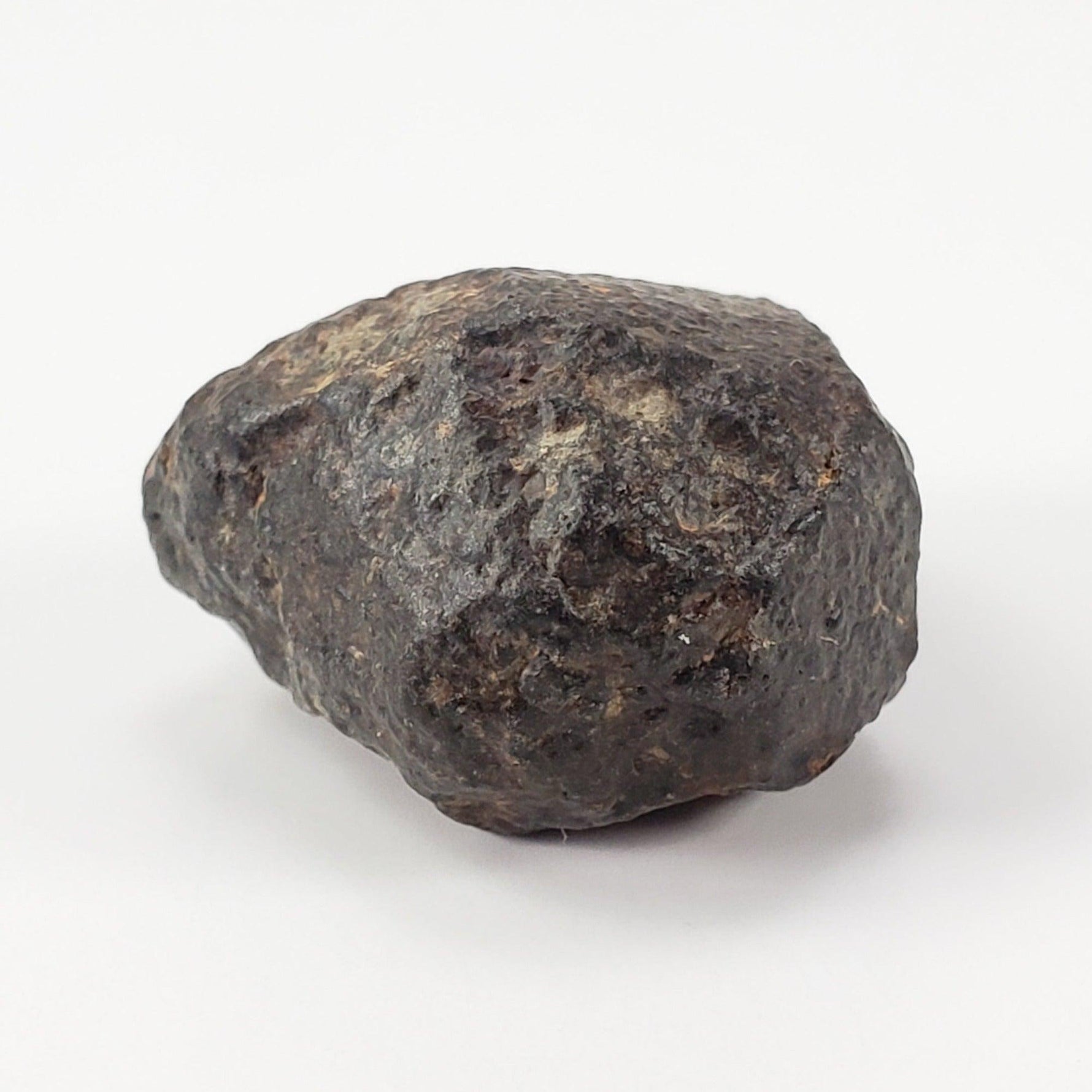  NWA 869 Meteorite | 9 Grams | Individual | L3-6 Chondrite | Crusted Specimen 