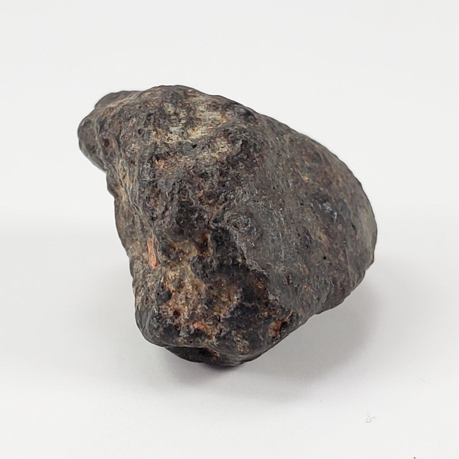  NWA 869 Meteorite | 9.43 Grams | Individual | L3-6 Chondrite | Crusted Specimen 