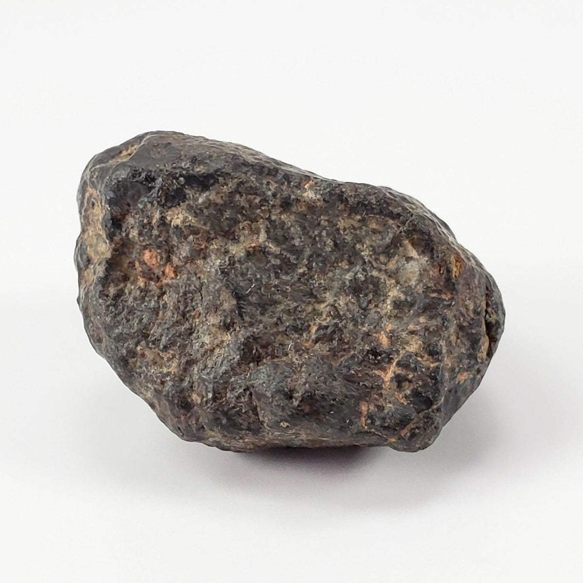  NWA 869 Meteorite | 9.43 Grams | Individual | L3-6 Chondrite | Crusted Specimen 