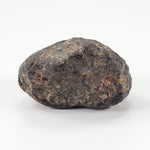  NWA 869 Meteorite | 9.43 Grams | Individual | L3-6 Chondrite | Crusted Specimen 