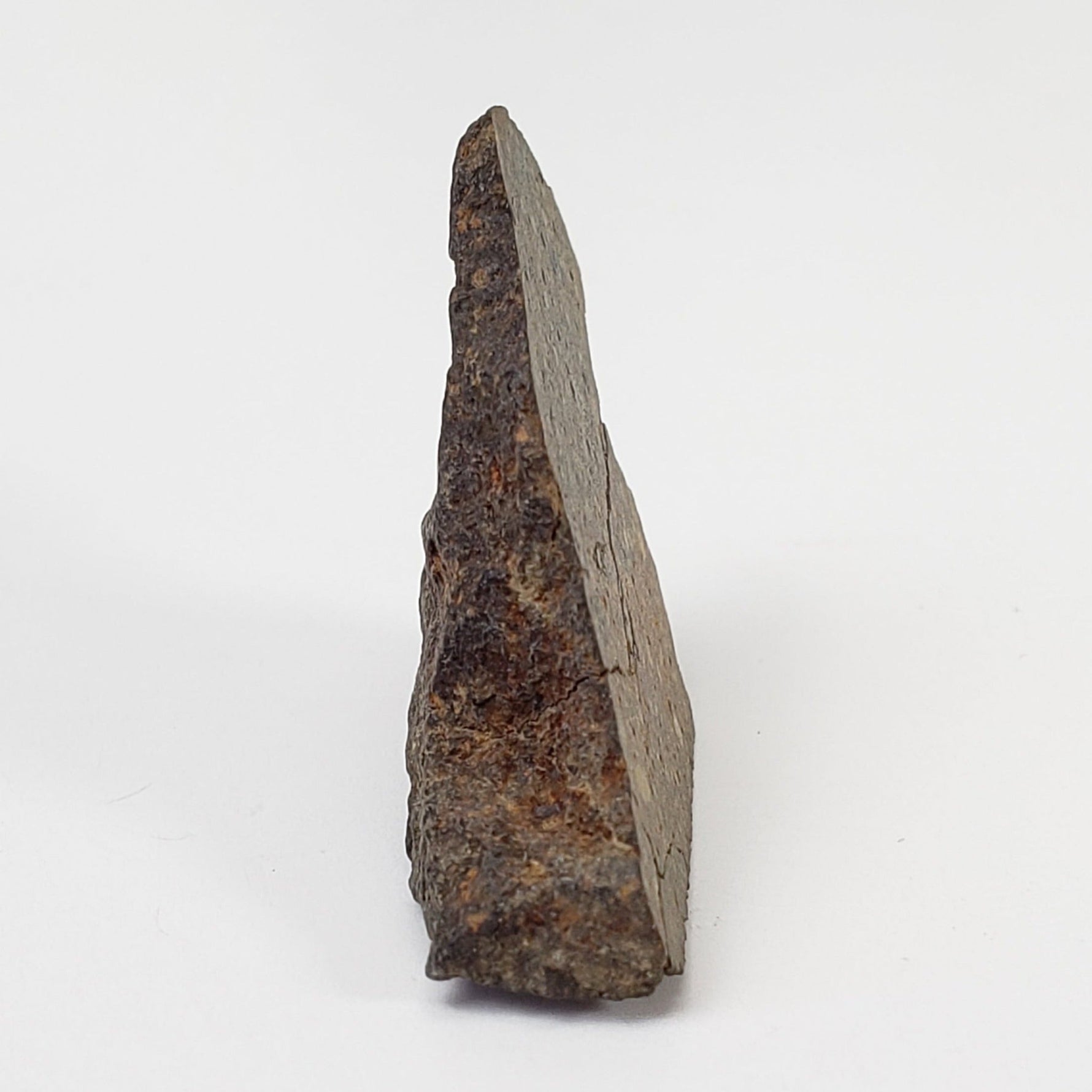 NWA 978 Meteorite | Rarest R3.8 Rumurutiite | 5.02 Grams | End Cut