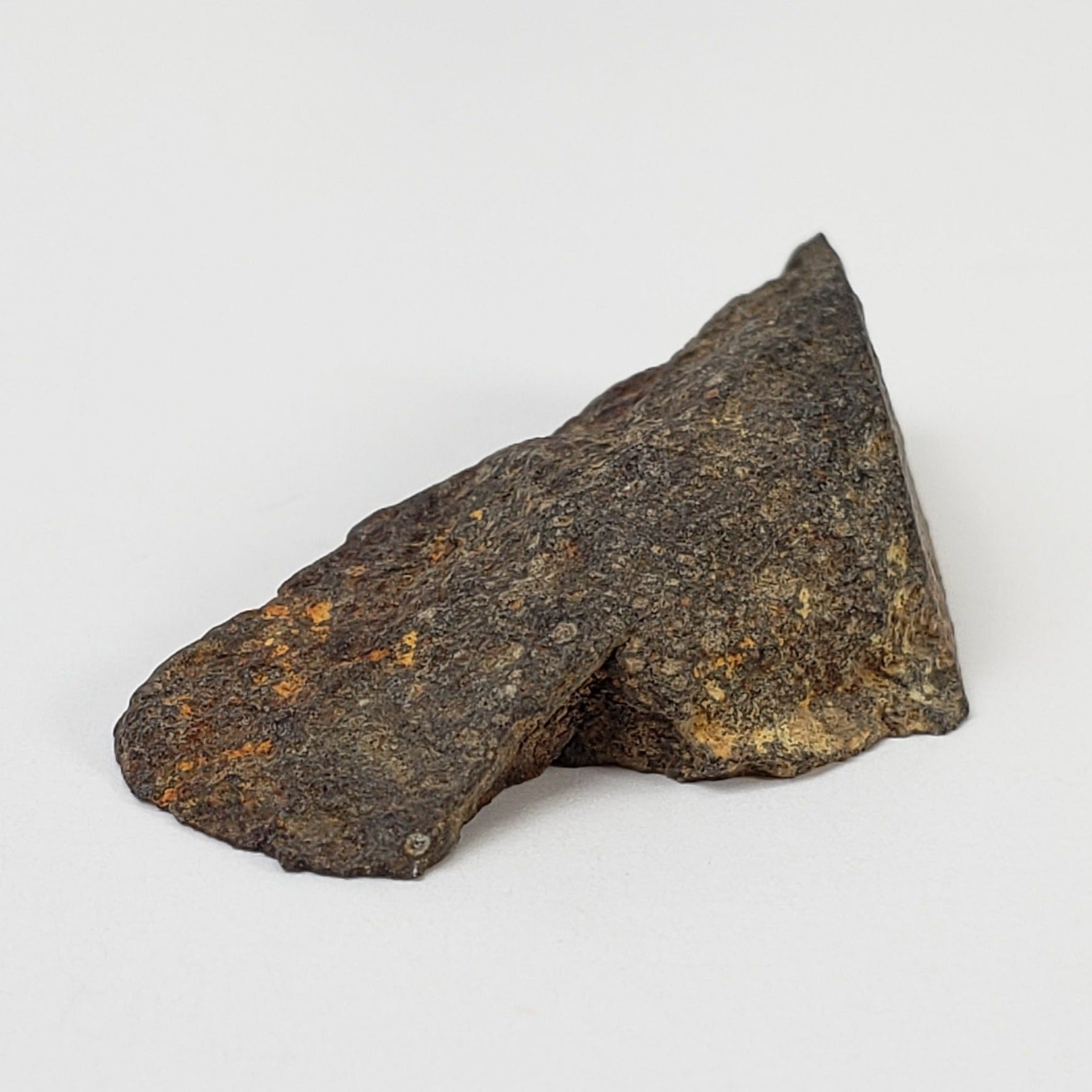 NWA 978 Meteorite | Rarest R3.8 Rumurutiite | 5.02 Grams | End Cut