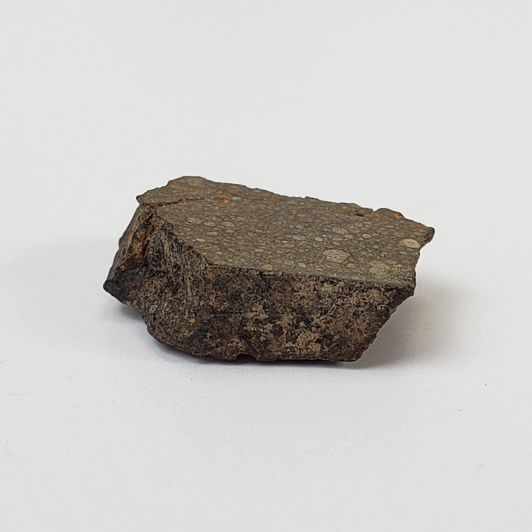 NWA 978 Meteorite | Rarest R3.8 Rumurutiite | End Cut | 3.03 Grams