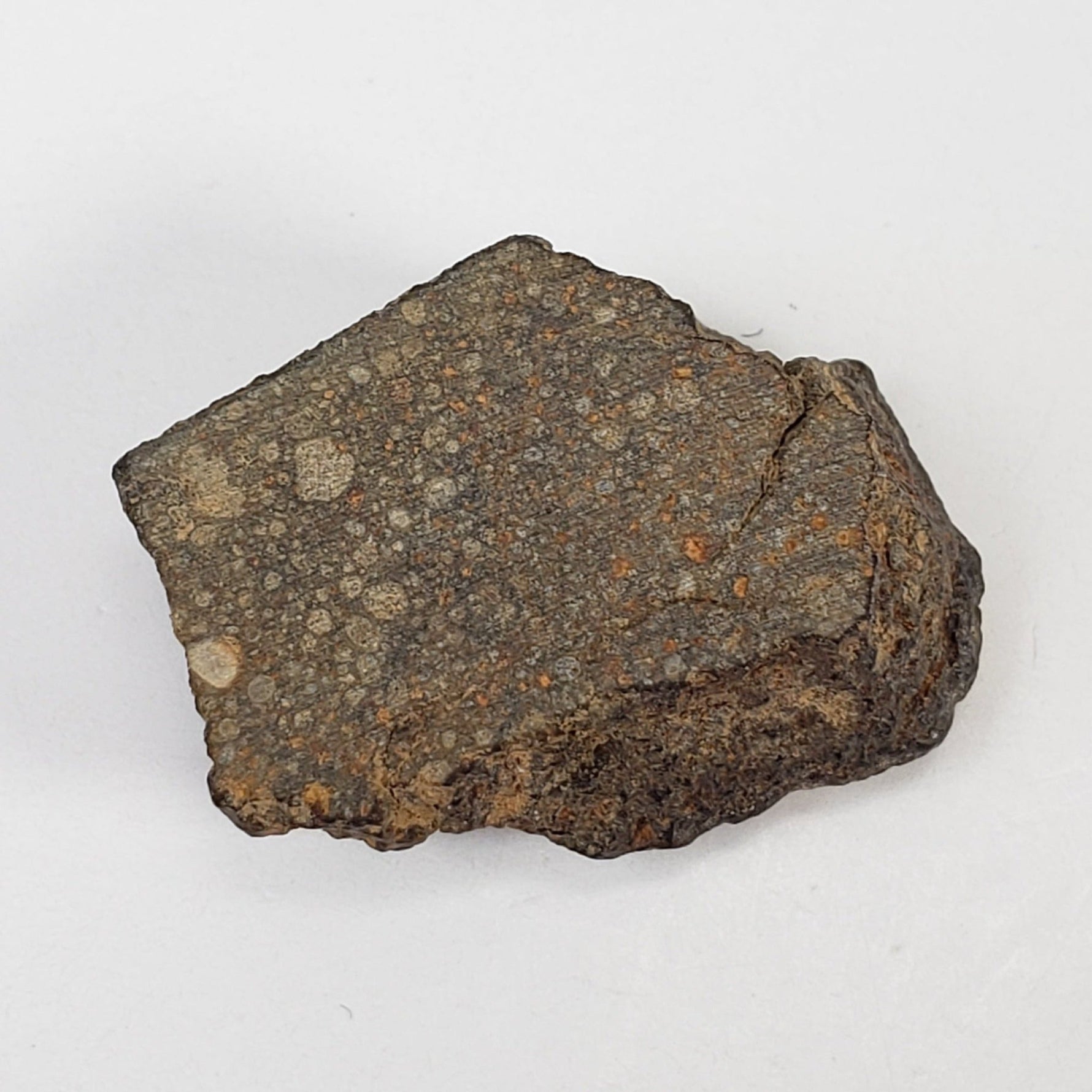 NWA 978 Meteorite | Rarest R3.8 Rumurutiite | End Cut | 3.03 Grams