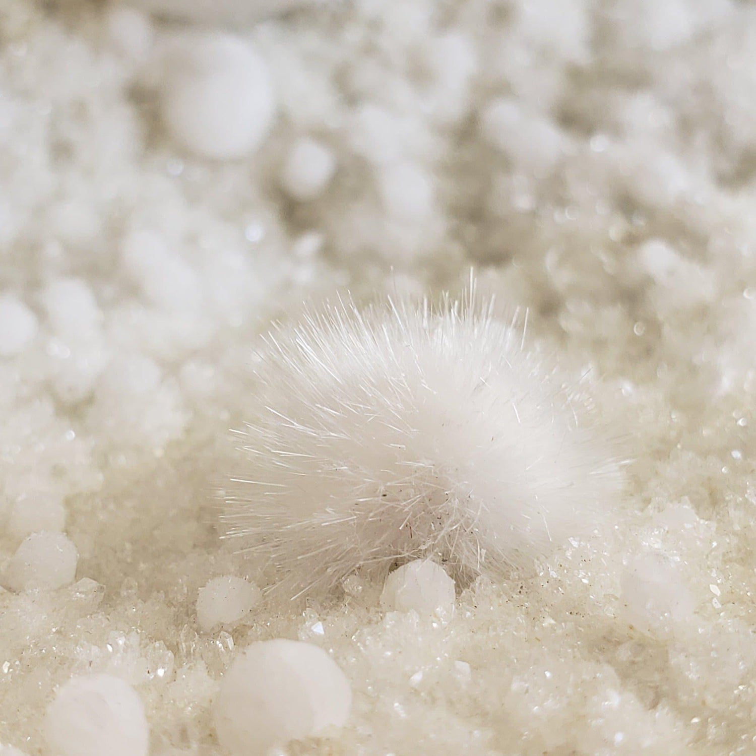  Okenite and Gyrolite on Quartz and Prehnite in Geode 3.78 Kg from India 