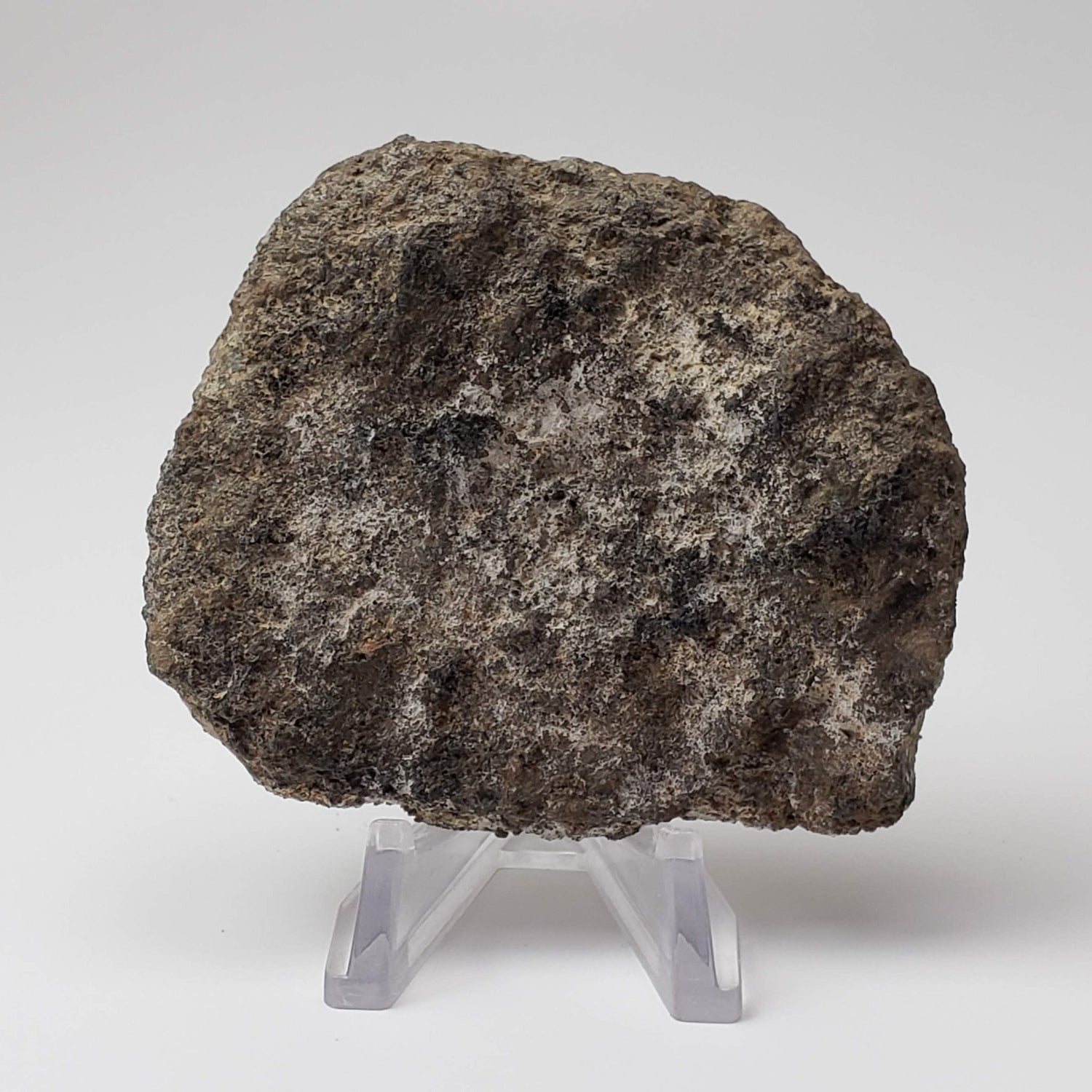 Olivine Volcanic Bomb | Lava Coated Crystal | 116.6 gr | Mortlake, Victoria, Australia