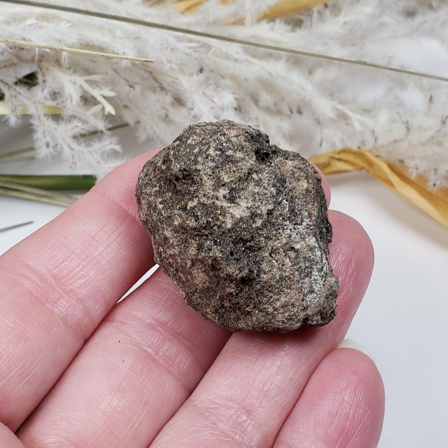  Olivine Volcanic Bomb 39.5 gr from Mortlake, Victoria, Australia 