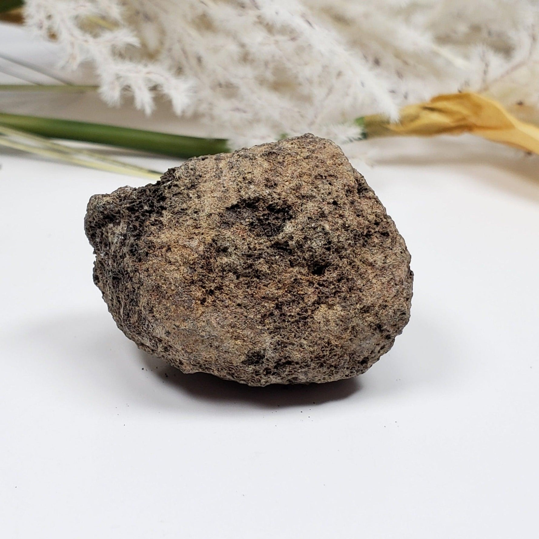  Olivine Volcanic Bomb 39.5 gr from Mortlake, Victoria, Australia 