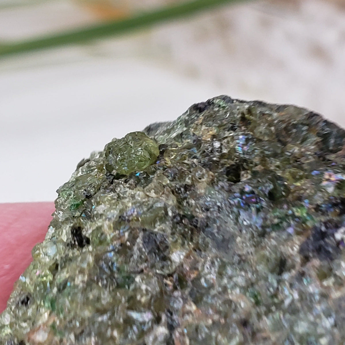  Olivine Volcanic Bomb Slice 42.4 gr from Mortlake, Victoria, Australia 