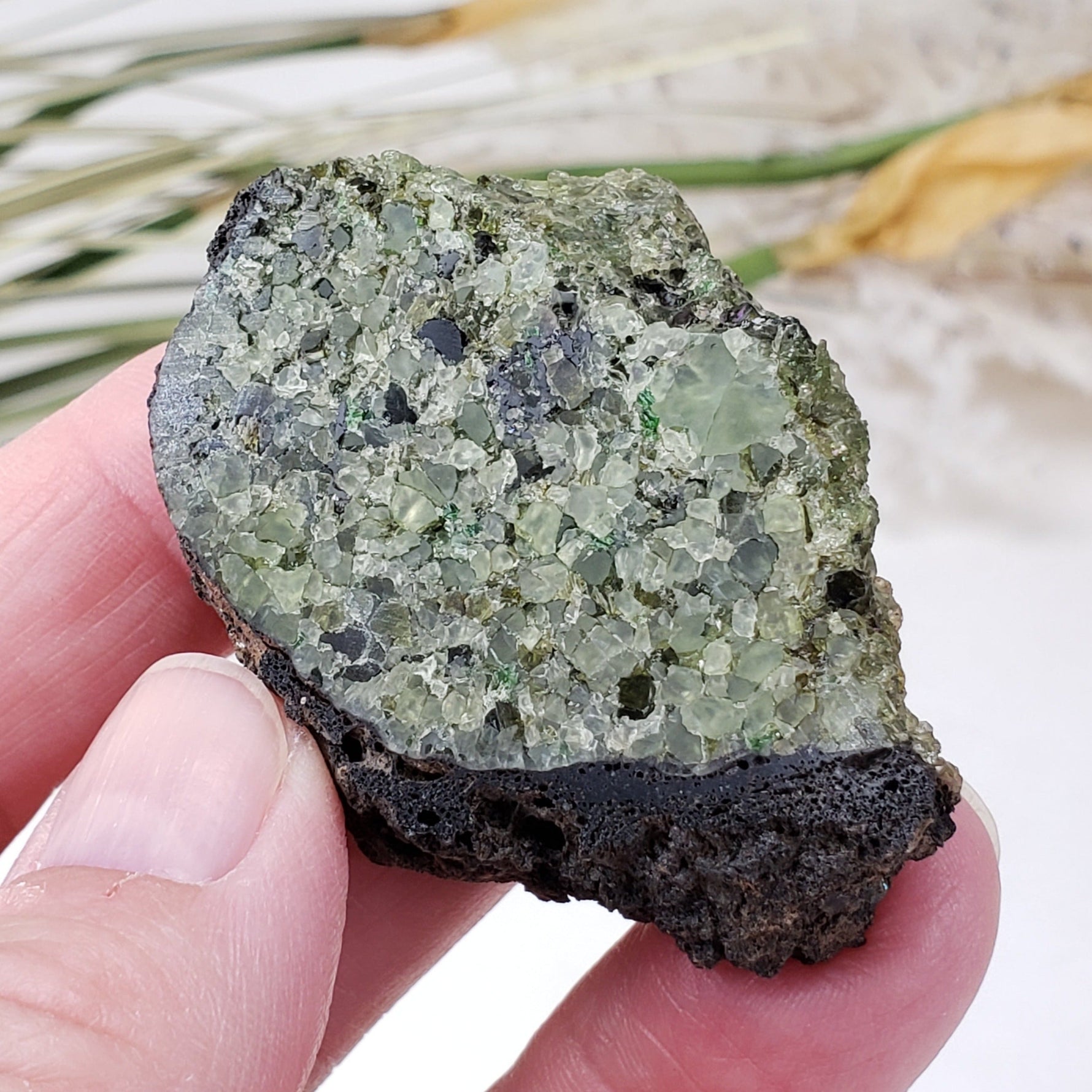 Tranche de bombe volcanique olivine | Cristal enduit de lave | 42,4 grammes  | Mortlake Victoria, Australie
