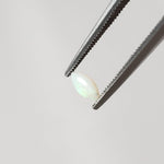 Opal | Marquise Cabochon | Milky White | 5.8x3mm