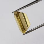 Oro Verde Citrine | Octagon Cut | Olive Green | 16x12mm 11.9ct