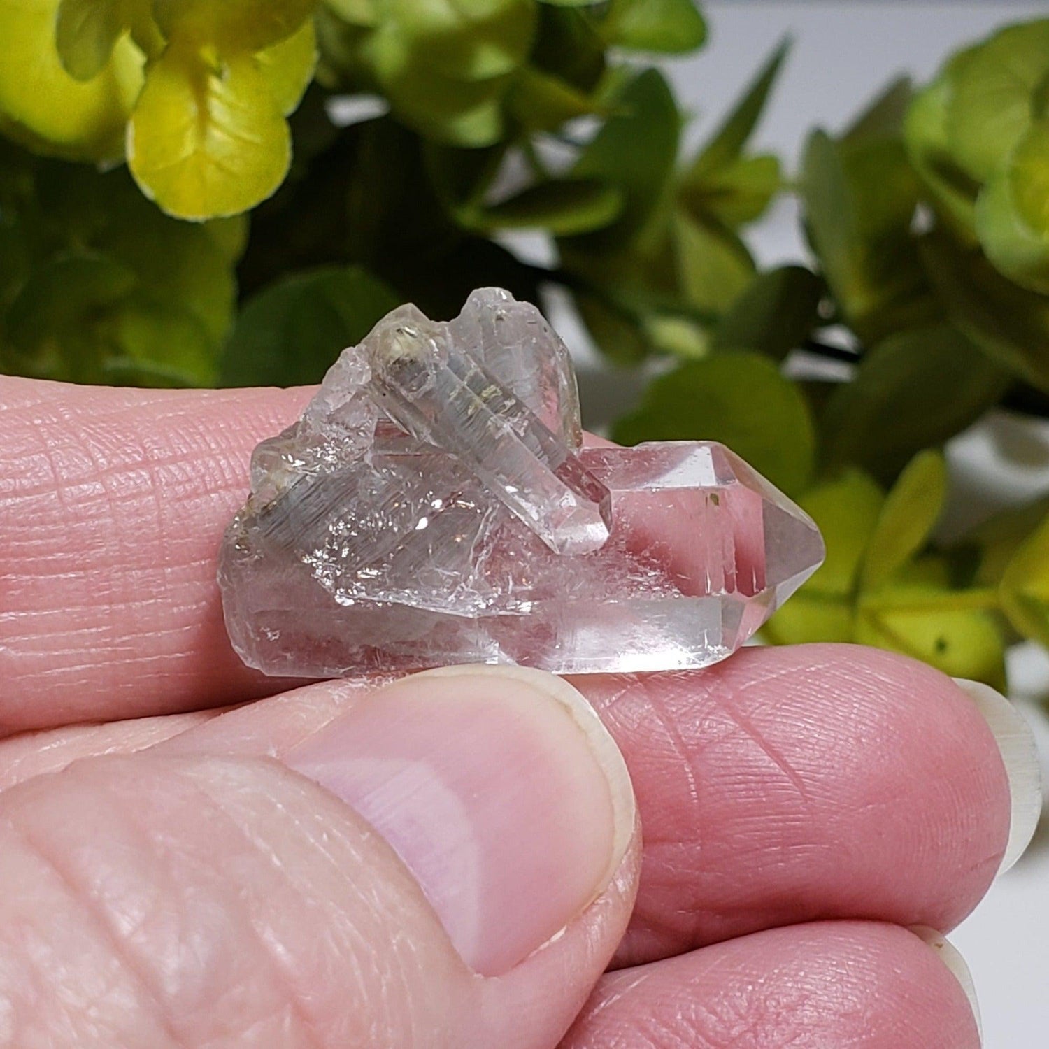  Multi Terminated Quartz Point | Natural Quartz | 30 mm | Brazil 