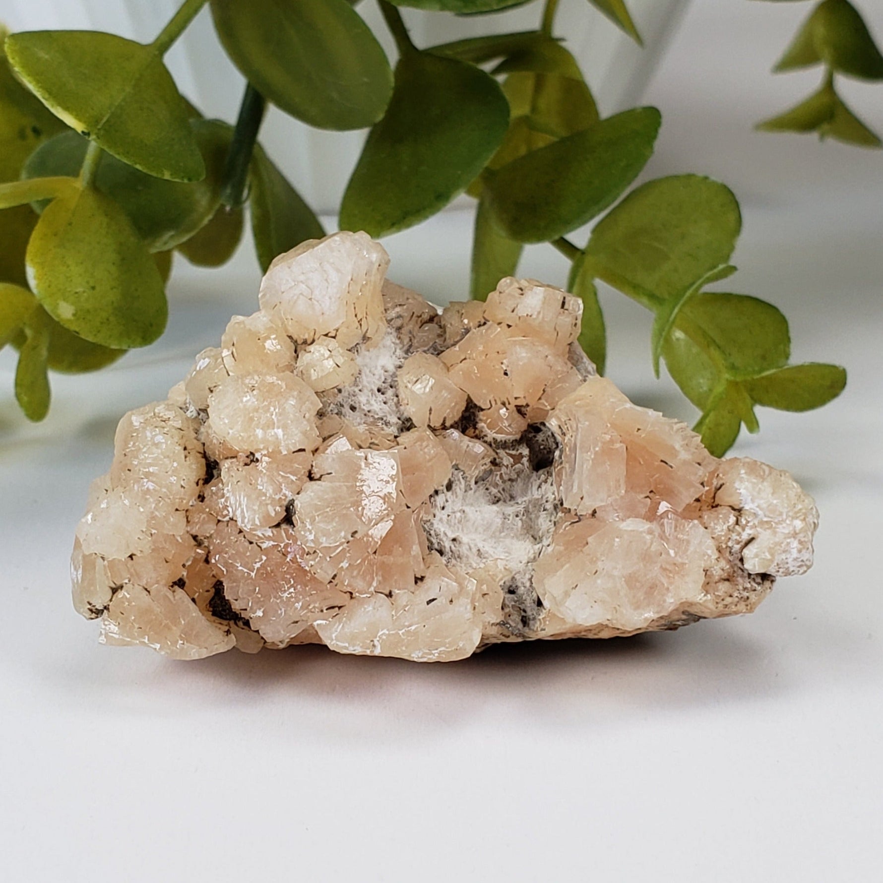  Pink Stilbite Crystal | 51.81 gr | Cape D'Or, Nova Scotia 