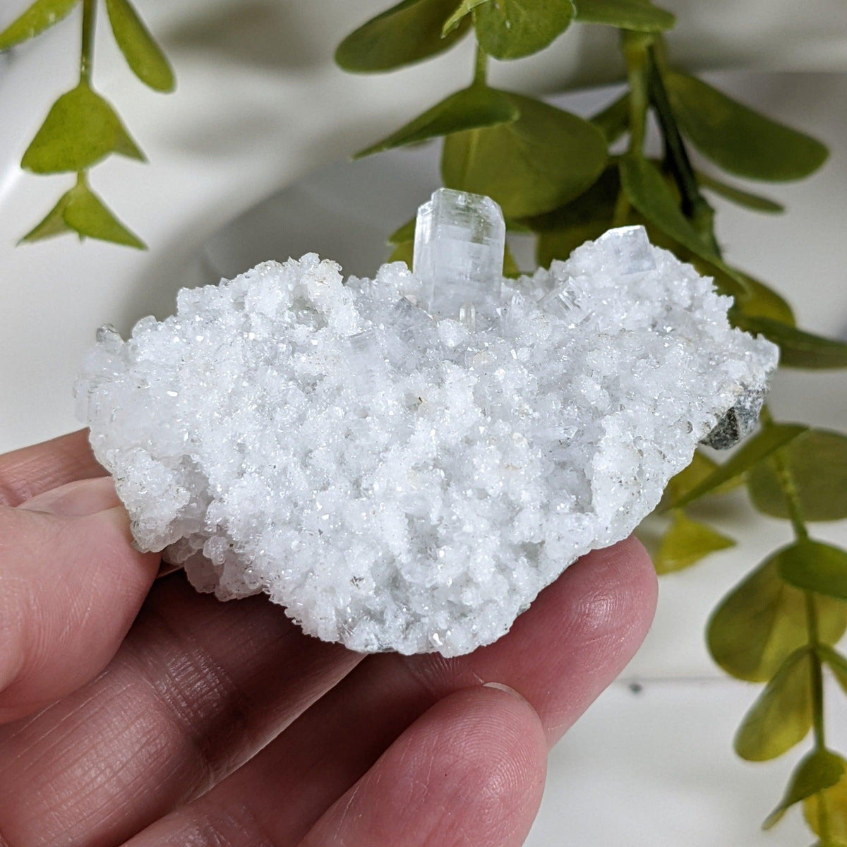 Prehnite and Apophyllite Crystal Cluster | 66 grams | Mumbai, India
