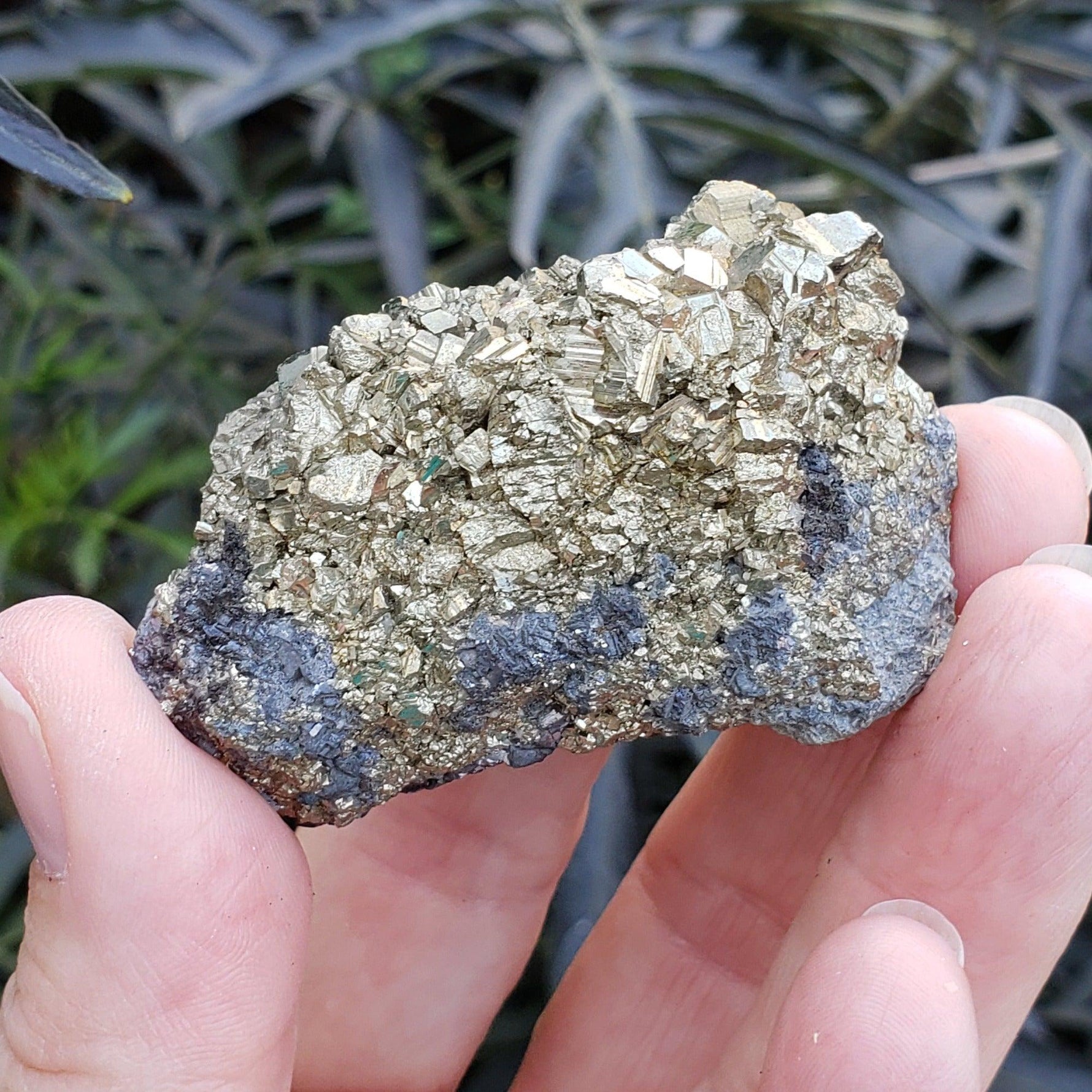 Pyrite on Marmatite Crystal Cluster | 123.9 grams | Eagle X Mine, Colorado Classic