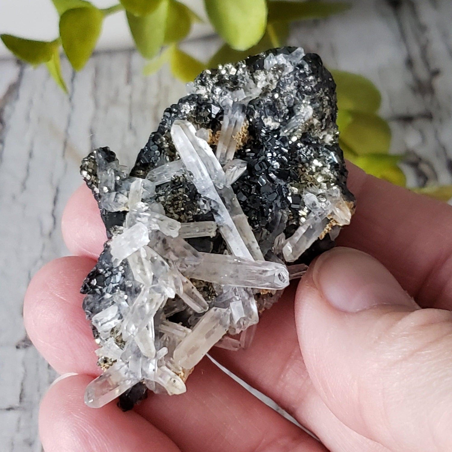 Quartz and Galena Crystal Cluster | 59 grams | Mogila, Madan, Bulgaria
