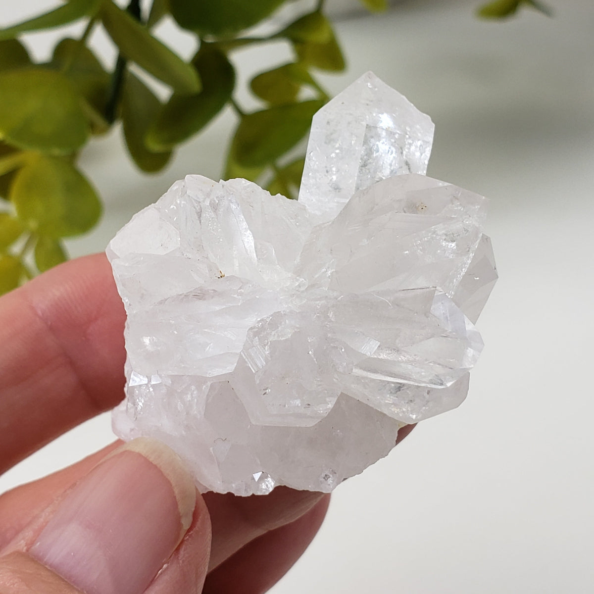  Quartz Crystal Cluster | Multi Terminated Quartz | 54.74 grams | Brazil 