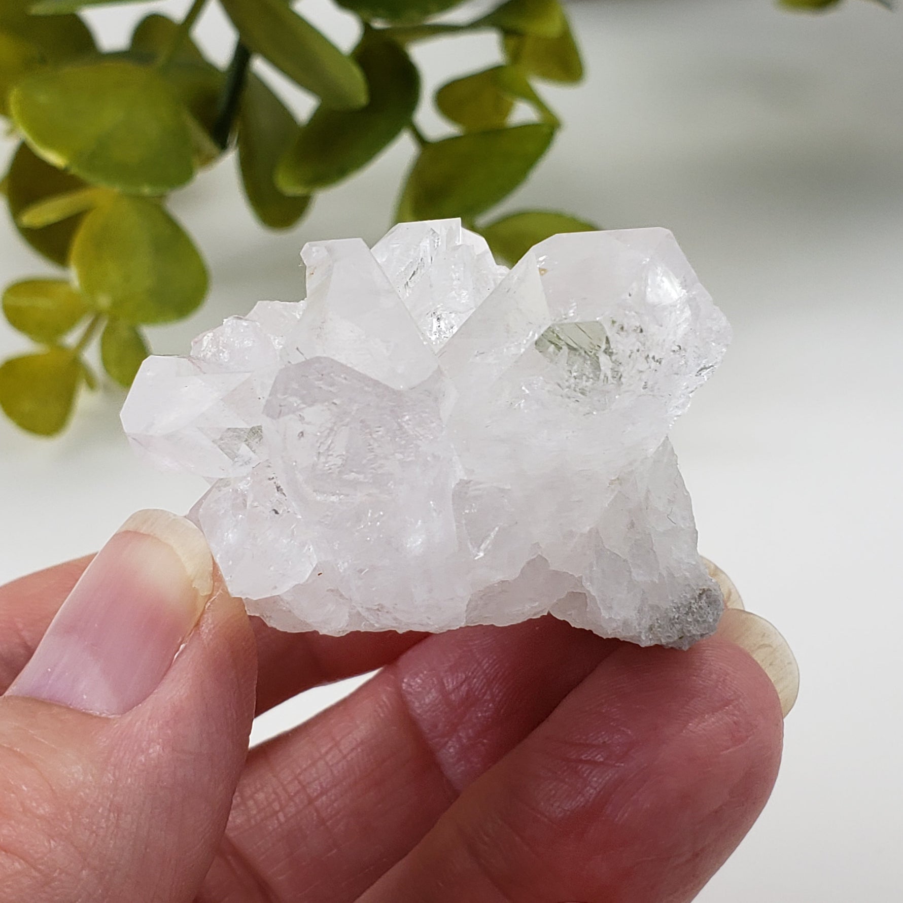  Quartz Crystal Cluster | Multi Terminated Quartz | 54.74 grams | Brazil 