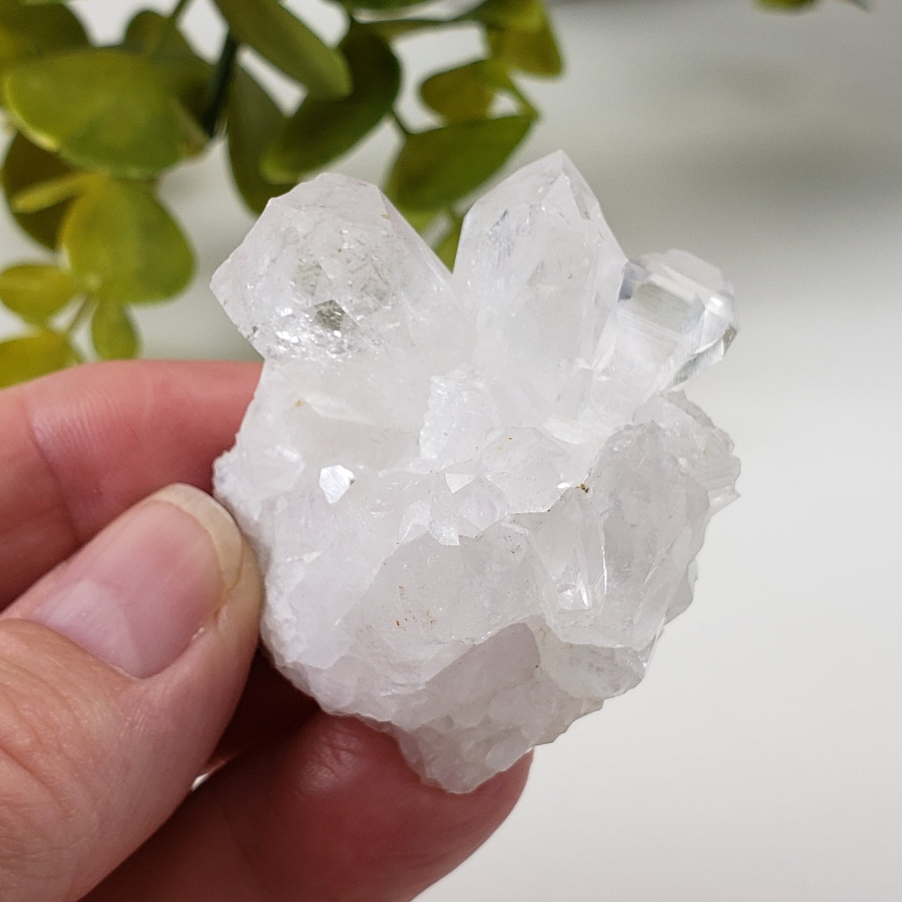  Quartz Crystal Cluster | Multi Terminated Quartz | 54.74 grams | Brazil 