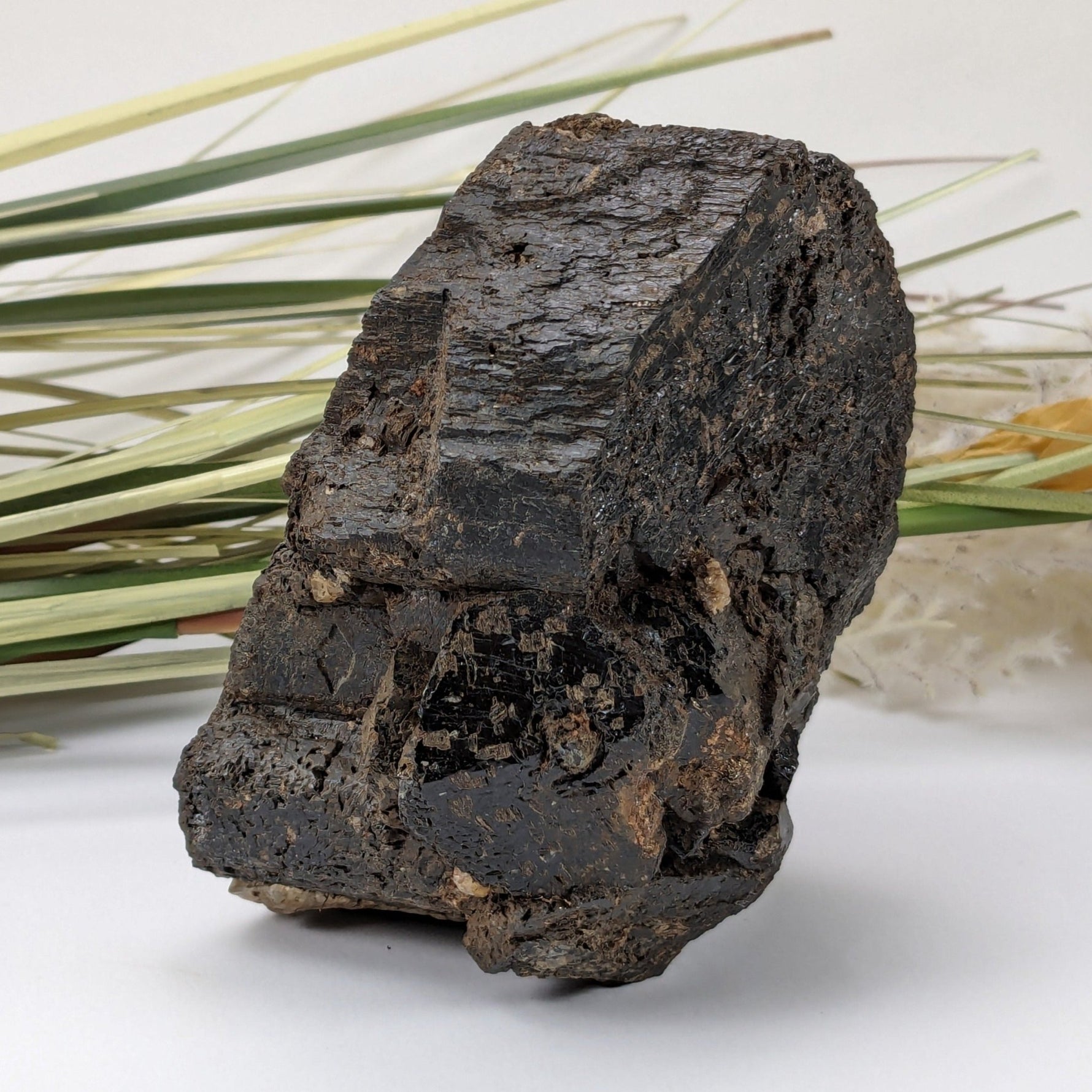 Natural Hornblende | Raw Crystal | 873 grams | Tory Hill, Ontario Canada