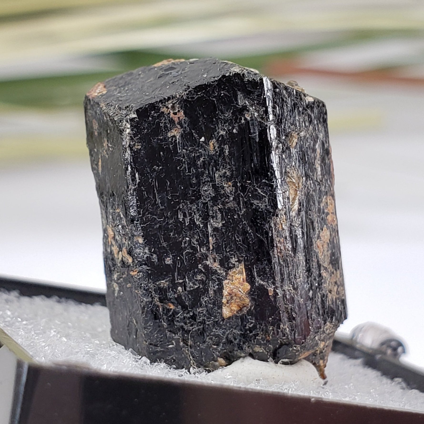 Schorl Tourmaline Crystal | Perky Box Thumbnail Specimen | N. Groton, New Hampshire