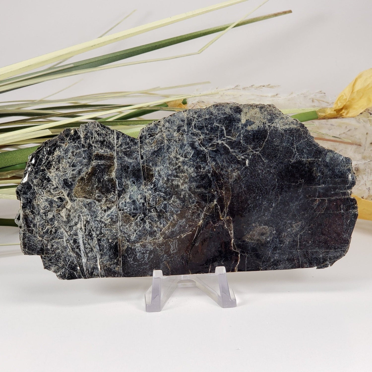 Biotite Mica Book | Black Crystal | 46.8 Grams | Ontario, Canada