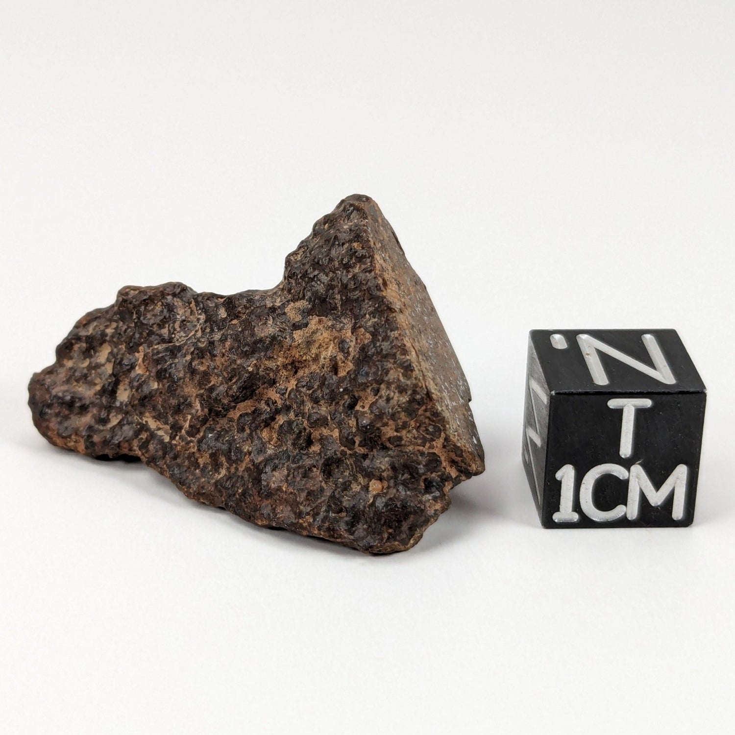 Northwest Africa NWA Meteorite | 10 Grams | End Cut | Sahara