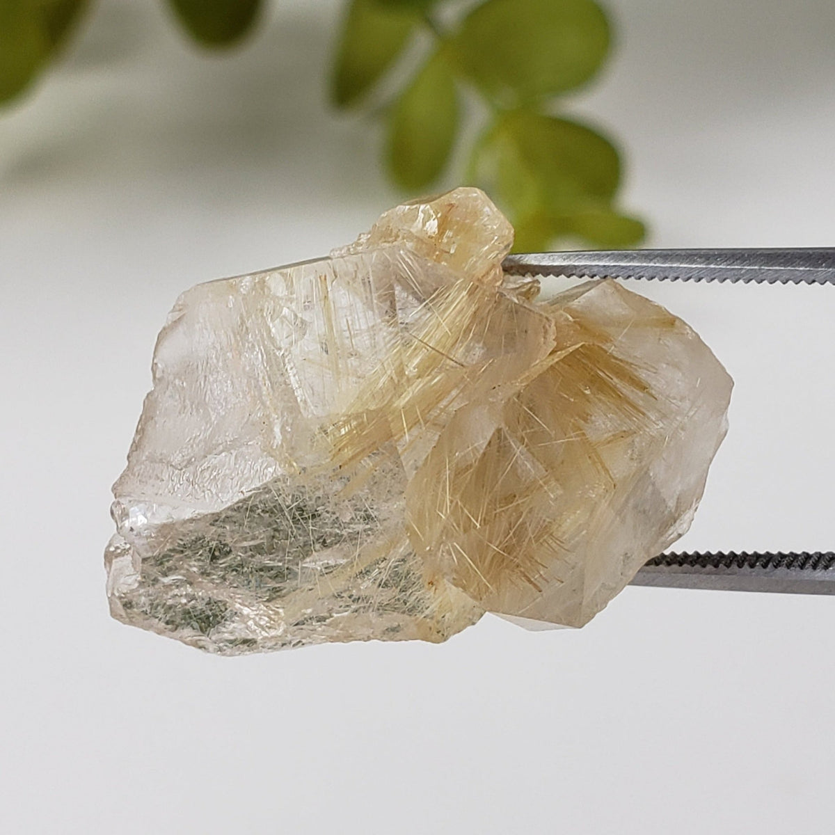  Rutilated Quartz Crystal | Rutilated Quartz Point | 6.8 grams | Novo Horizonte, Bahia, Brazil 