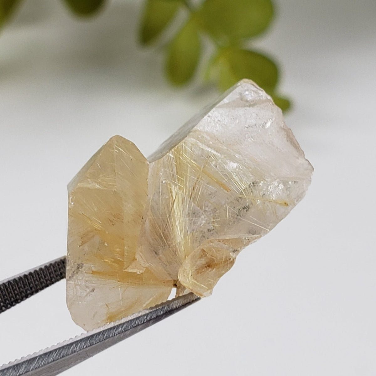  Rutilated Quartz Crystal | Rutilated Quartz Point | 6.8 grams | Novo Horizonte, Bahia, Brazil 