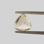  Rutile Scapolite | Trilliant Cut | Yellow | 9mm 