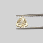  Rutile Scapolite | Trilliant Cut | Yellow | 9mm 