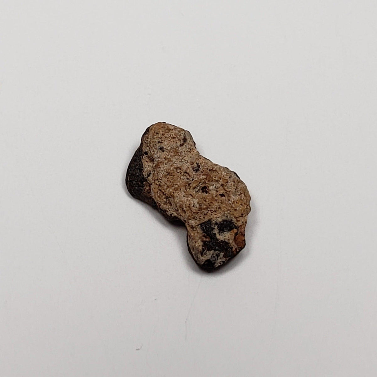  Sacramento Wash SaW 005 Meteorite | 0.57 Grams | H- Metal | Rare Meteorite | Arizona 