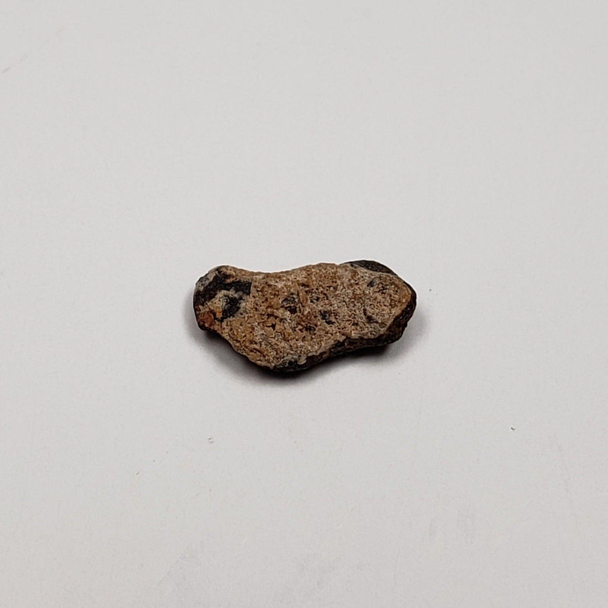  Sacramento Wash SaW 005 Meteorite | 0.57 Grams | H- Metal | Rare Meteorite | Arizona 