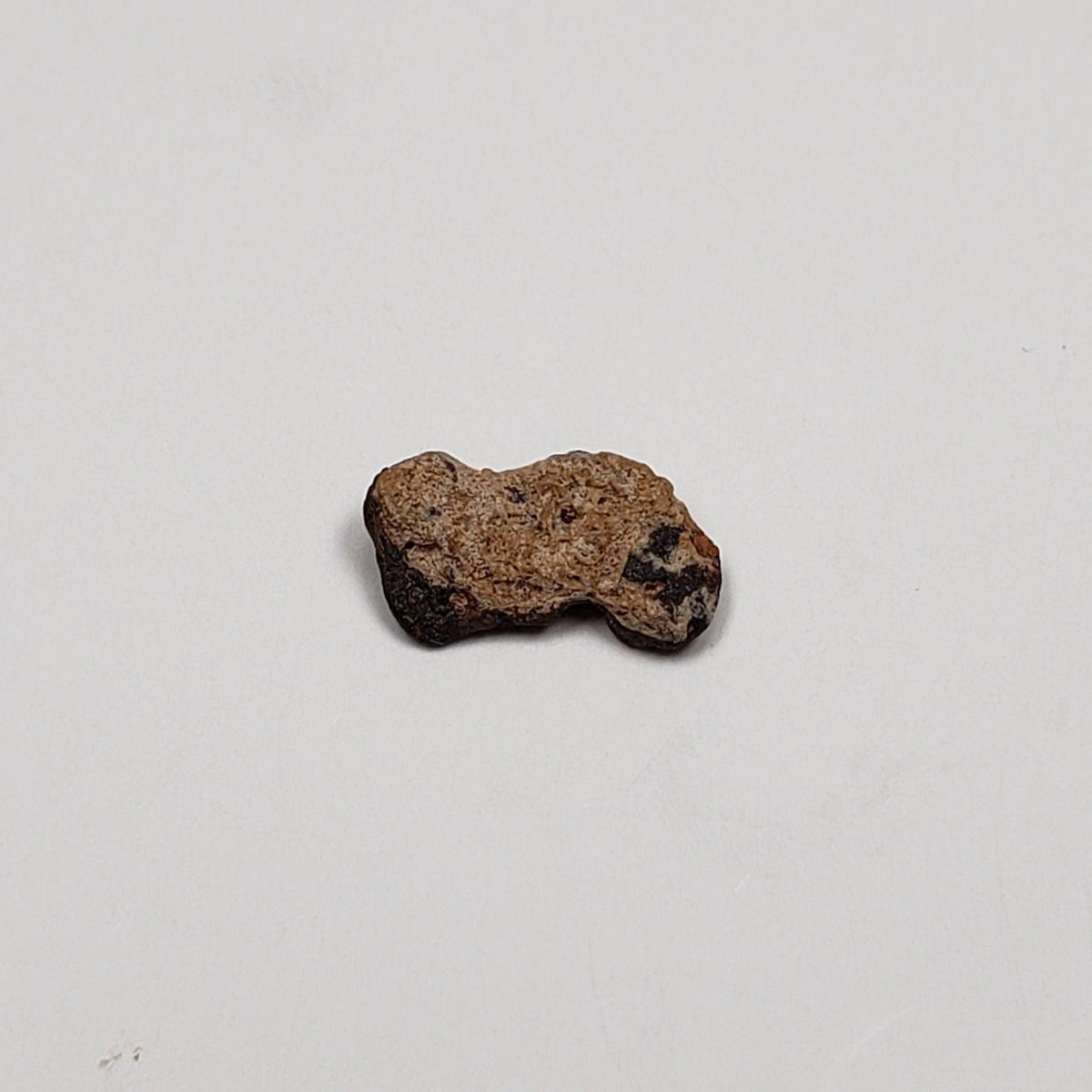  Sacramento Wash SaW 005 Meteorite | 0.57 Grams | H- Metal | Rare Meteorite | Arizona 