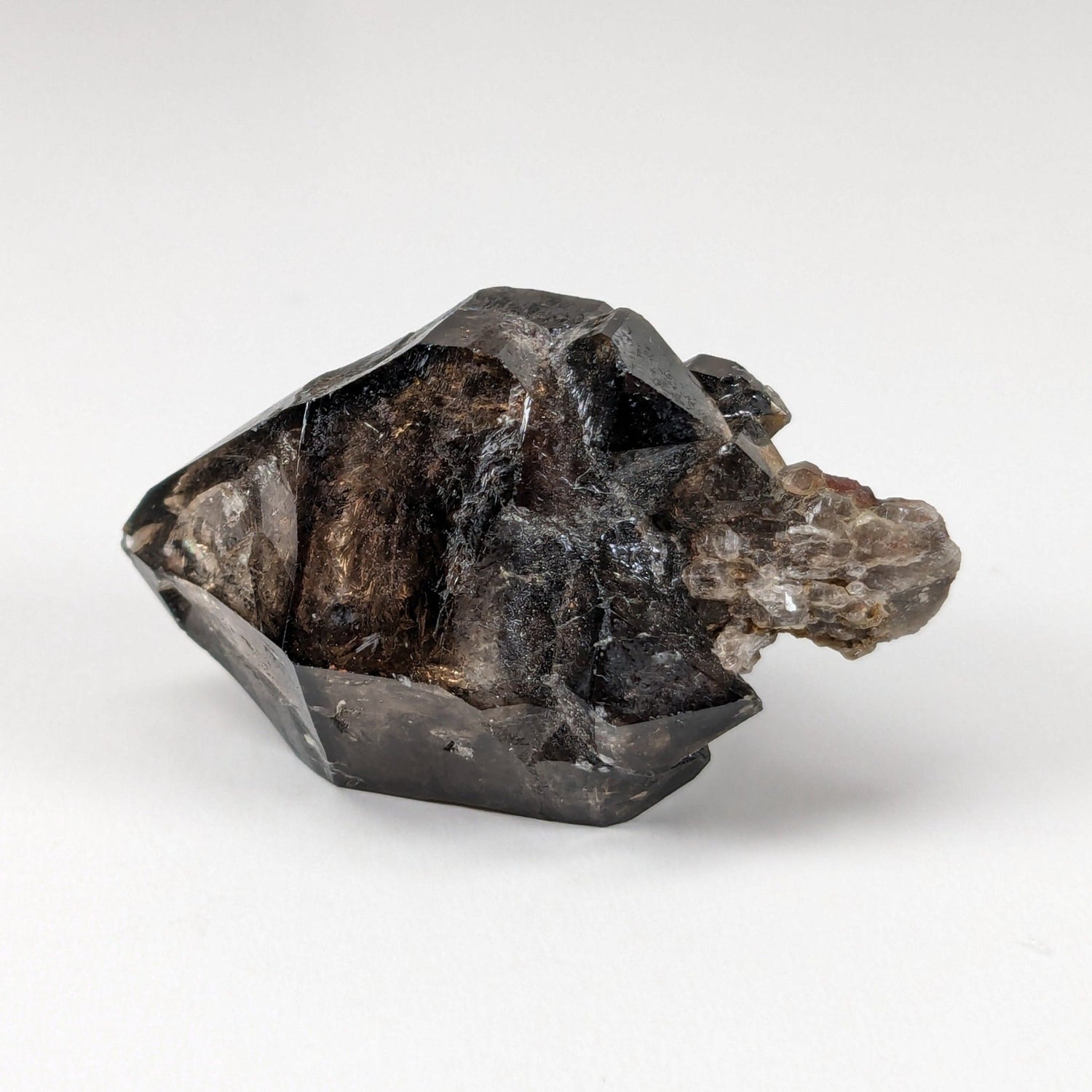 Sceptre Cristal de quartz fumé | 36mm 14gr | Mont Saint-Hilaire, Québec, Canada
